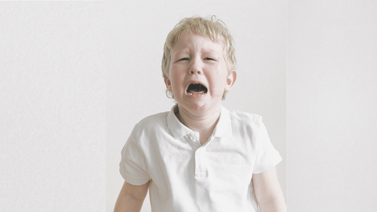 Article Image - What Are Emotions?